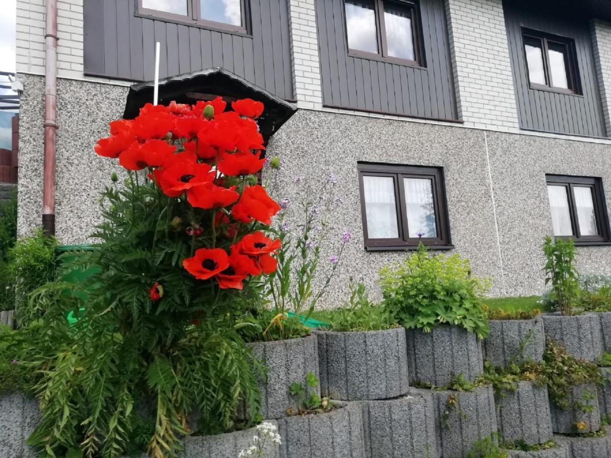 Ferienwohnung Suetovius クロルト・オーバーヴィーゼンタール エクステリア 写真